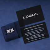 MOISSANITE FROST STAR STUDS - 925 SILVER - VVS1